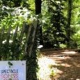 Spectacle au coeur de la nature