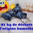 JPEG - 149.7 kio