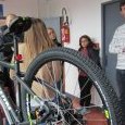 08 sections sportives 4
