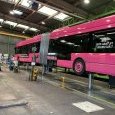 DkBus 20