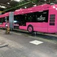 DkBus 25
